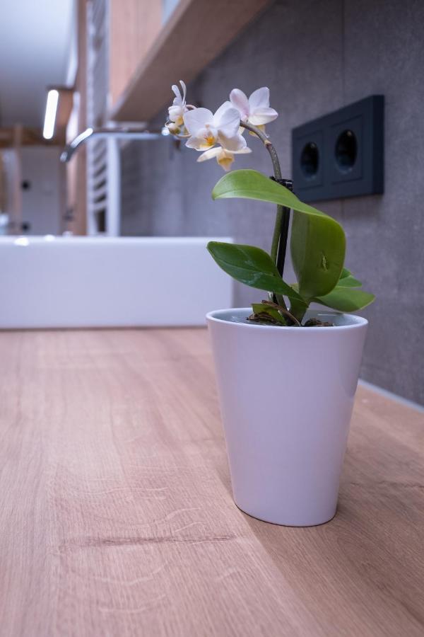 Apartment Haus Schoenwies อัลพ์บาค ภายนอก รูปภาพ